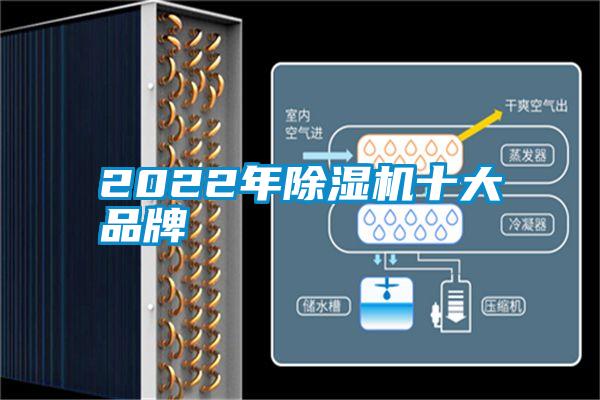 2022年91看片网站视频機十大品牌