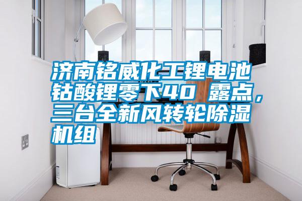 濟南銘威化工鋰電池鈷酸鋰零下40℃露點，三台全新風轉輪91看片网站视频機組