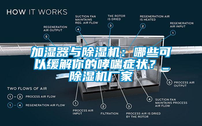 加濕器與91看片网站视频機：哪些可以緩解你的哮喘症狀？_91看片网站视频機廠家