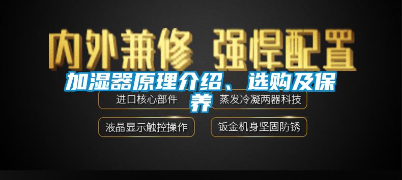 加濕器原理介紹、選購及保養