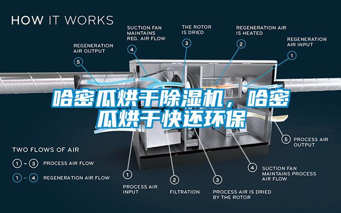 哈密瓜烘幹91看片网站视频機，哈密瓜烘幹快還環保