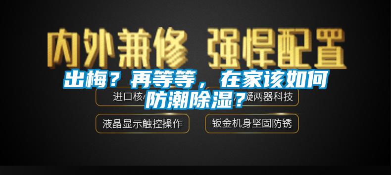 出梅？再等等，在家該如何防潮91看片网站视频？