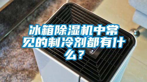 冰箱91看片网站视频機中常見的製冷劑都有什麽？