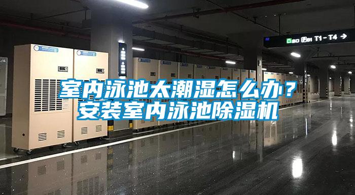 室內泳池太潮濕怎麽辦？安裝室內泳池91看片网站视频機