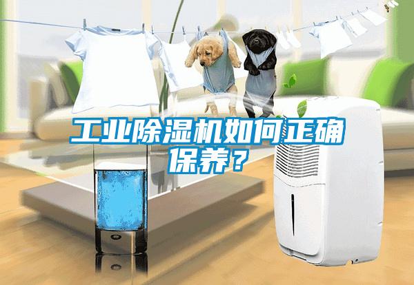 工業91看片网站视频機如何正確保養？