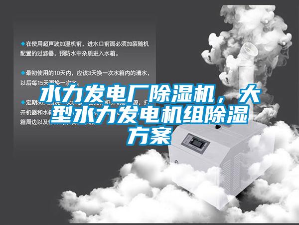 水力發電廠91看片网站视频機，大型水力發電機組91看片网站视频看片网站入口