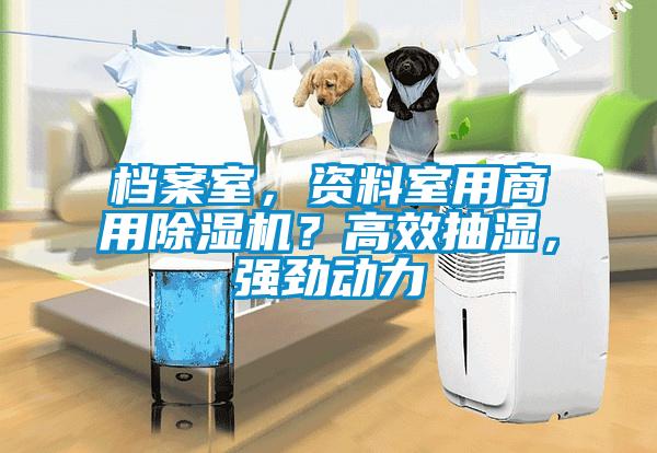 檔案室，資料室用商用91看片网站视频機？高效抽濕，強勁動力