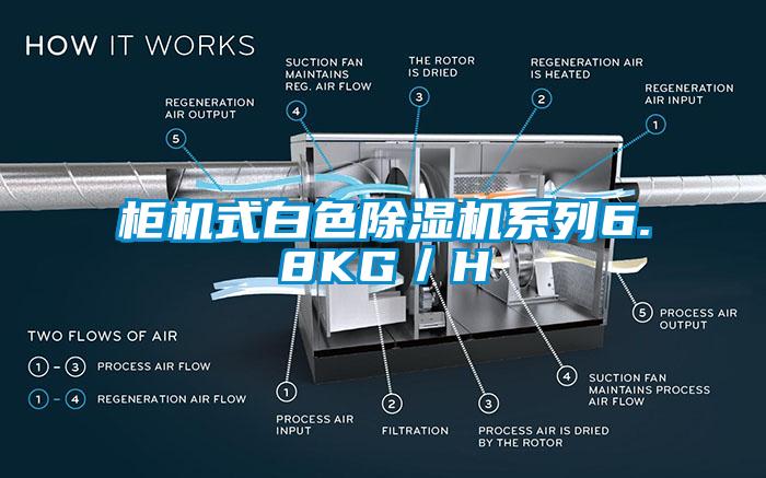 櫃機式白色91看片网站视频機係列6.8KG／H