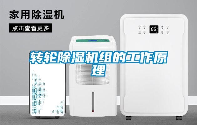 轉輪91看片网站视频機組的工作原理