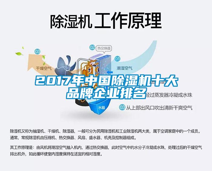 2017年中國91看片网站视频機十大品牌企業排名