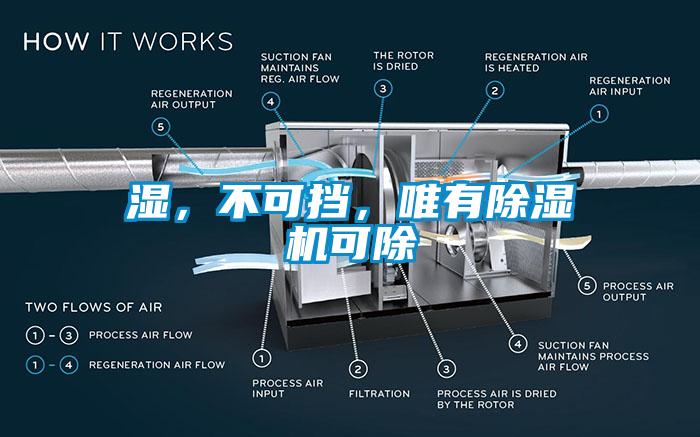 濕，不可擋，唯有91看片网站视频機可除