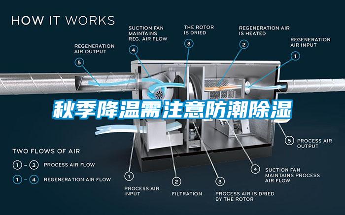 秋季降溫需注意防潮91看片网站视频