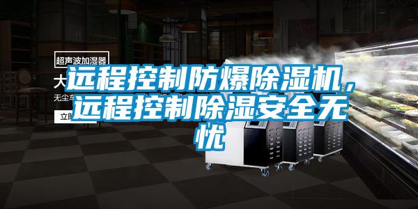 遠程控製防爆91看片网站视频機，遠程控製91看片网站视频安全無憂