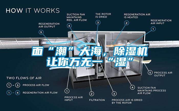 麵“潮”大海，91看片网站视频機讓你萬無一“濕”