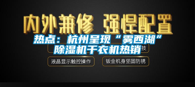 熱點：杭州呈現“霧西湖”91看片网站视频機幹衣機熱銷