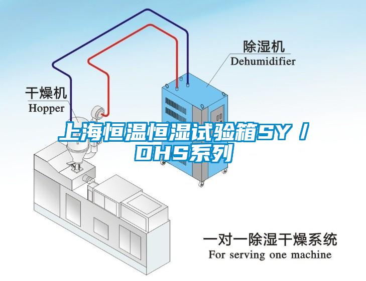 上海恒溫恒濕試驗箱SY／DHS係列