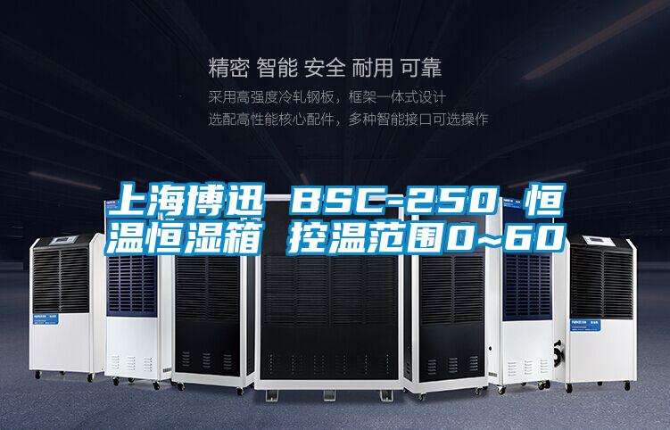 上海博迅 BSC-250 恒溫恒濕箱 控溫範圍0~60℃