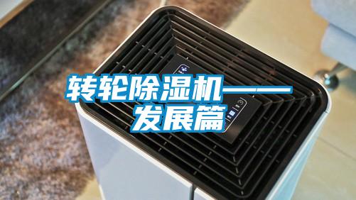 轉輪91看片网站视频機——發展篇