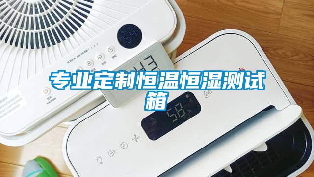 專業定製恒溫恒濕測試箱