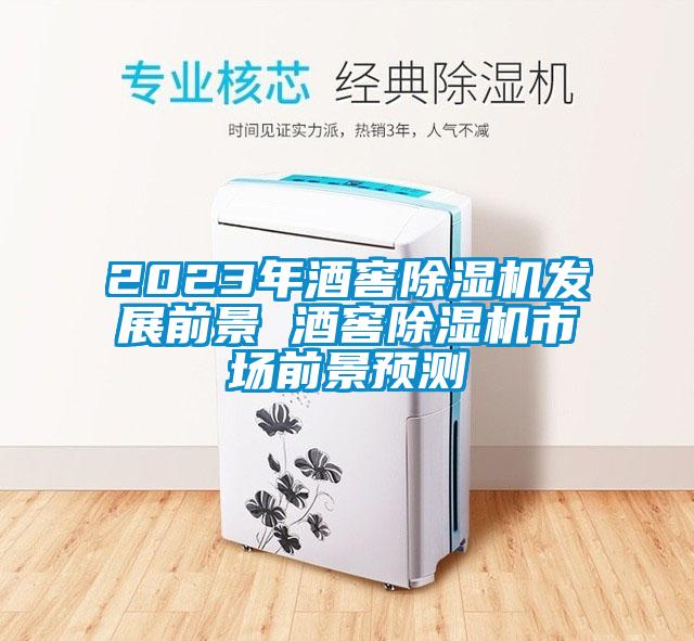 2023年酒窖91看片网站视频機發展前景 酒窖91看片网站视频機市場前景預測