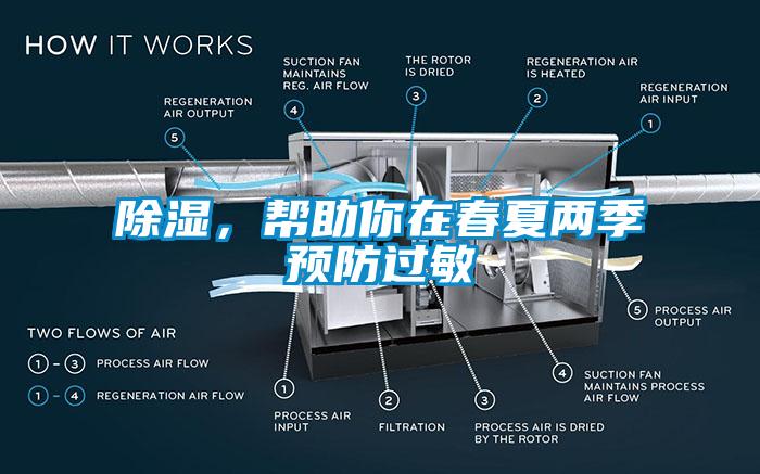 91看片网站视频，幫助你在春夏兩季預防過敏