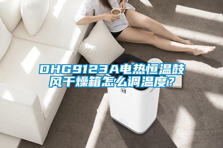 DHG9123A電熱恒溫鼓風幹燥箱怎麽調溫度？