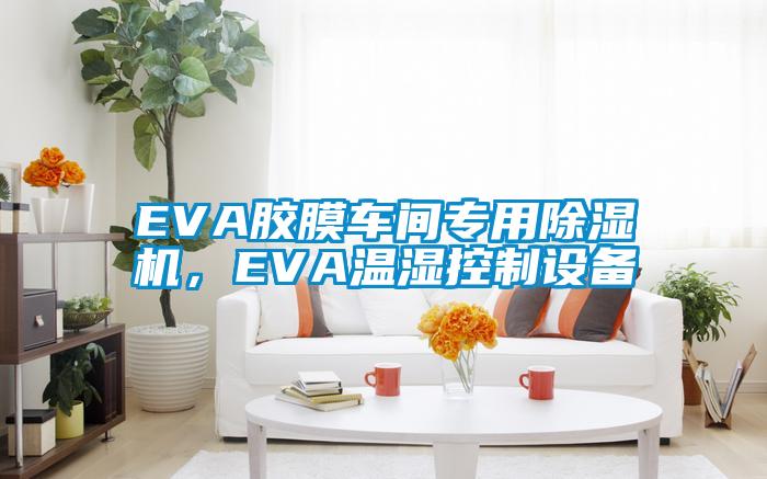 EVA膠膜車間專用91看片网站视频機，EVA溫濕控製設備