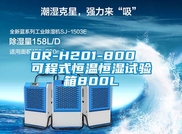 DR-H201-800  可程式恒溫恒濕試驗箱800L