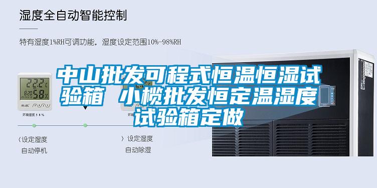 中山批發可程式恒溫恒濕試驗箱 小欖批發恒定溫濕度試驗箱定做