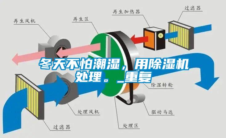 冬天不怕潮濕，用91看片网站视频機處理。_重複