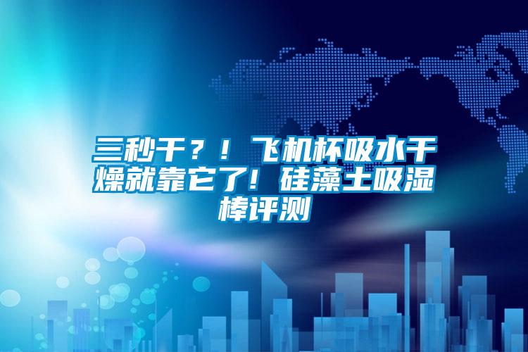 三秒幹？! 飛機杯吸水幹燥就靠它了! 矽藻土吸濕棒評測