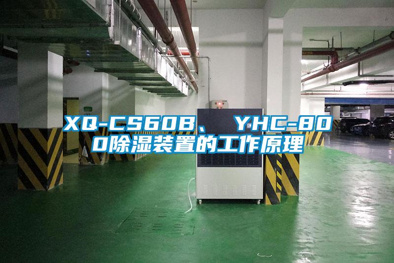 XQ-CS60B、 YHC-80091看片网站视频裝置的工作原理