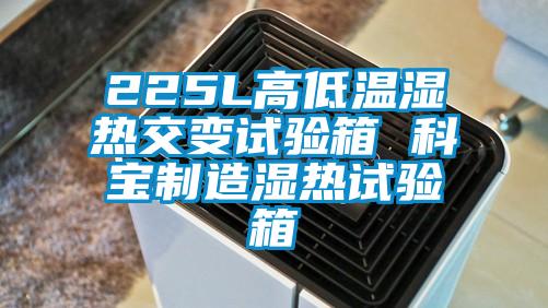 225L高低溫濕熱交變試驗箱 科寶製造濕熱試驗箱