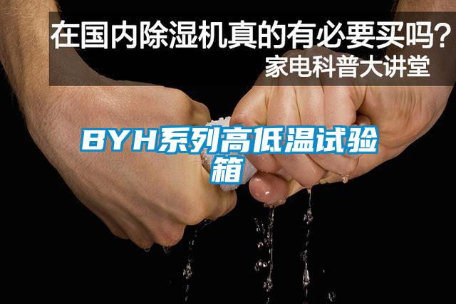 BYH係列高低溫試驗箱