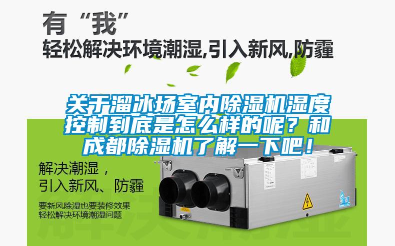 關於溜冰場室內91看片网站视频機濕度控製到底是怎麽樣的呢？和成都91看片网站视频機了解一下吧！