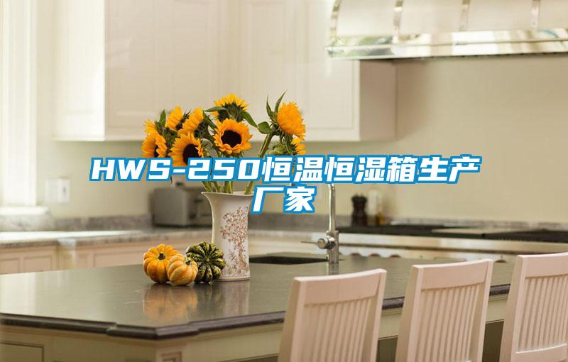 HWS-250恒溫恒濕箱生產廠家