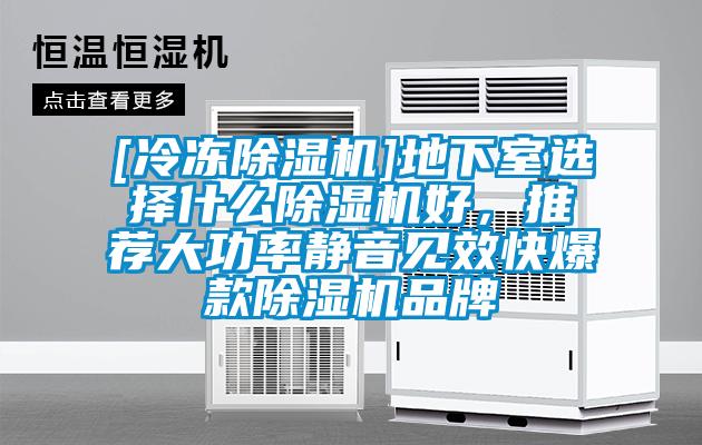 [冷凍91看片网站视频機]地下室選擇什麽91看片网站视频機好，推薦大功率靜音見效快爆款91看片网站视频機品牌