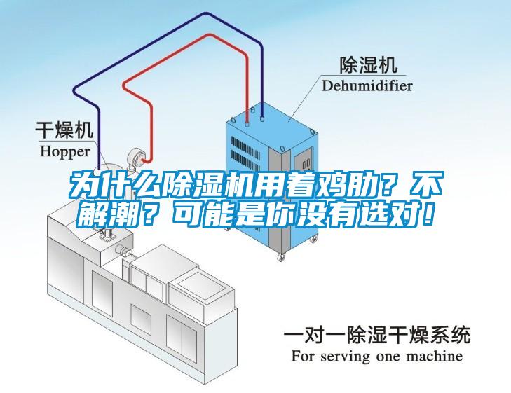 為什麽91看片网站视频機用著雞肋？不解潮？可能是你沒有選對！