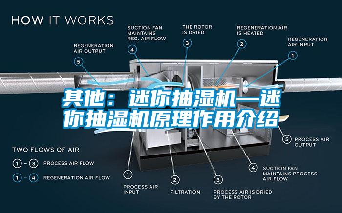 其他：迷你抽濕機—迷你抽濕機原理作用介紹