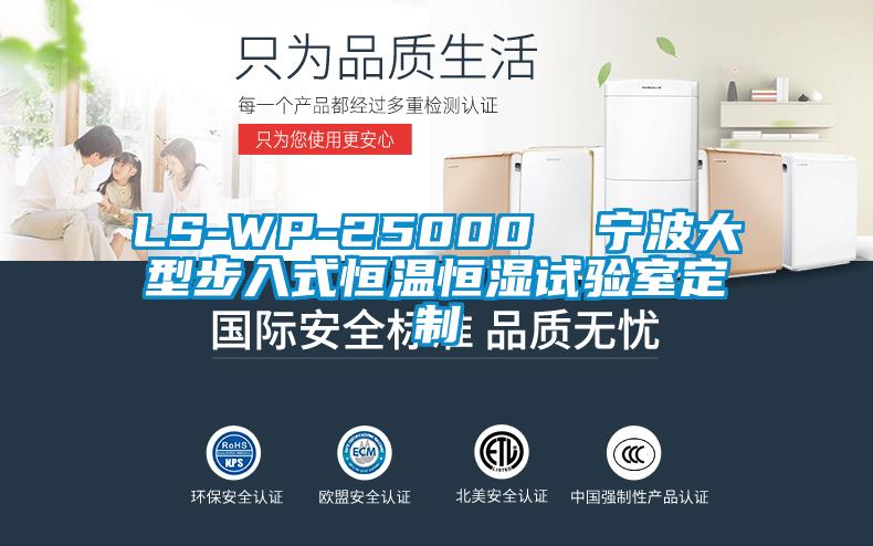 LS-WP-25000  寧波大型步入式恒溫恒濕試驗室定製