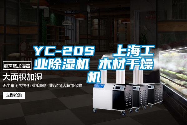 YC-20S  上海工業91看片网站视频機 木材幹燥機