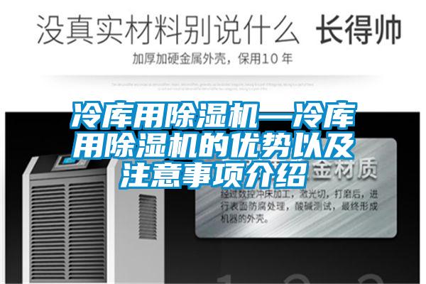 冷庫用91看片网站视频機—冷庫用91看片网站视频機的優勢以及注意事項介紹