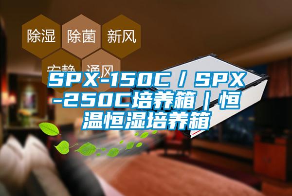 SPX-150C／SPX-250C培養箱｜恒溫恒濕培養箱