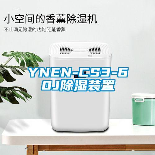 YNEN-CS3-60J91看片网站视频裝置