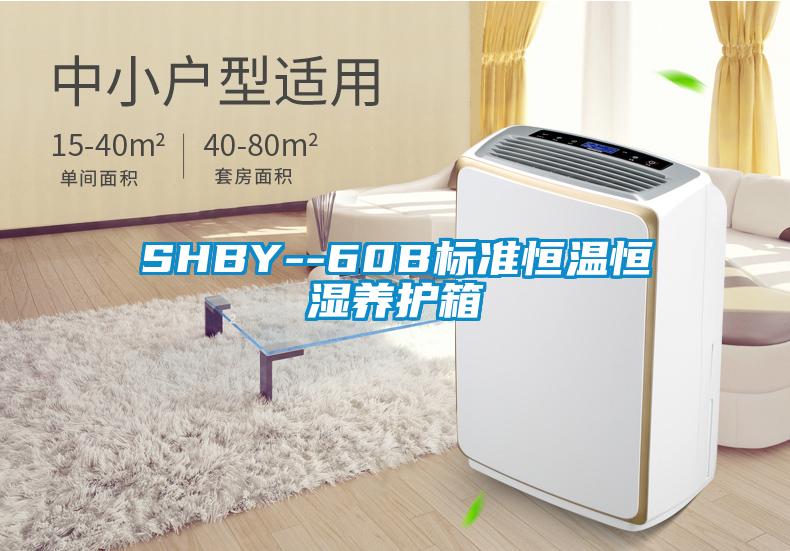 SHBY--60B標準恒溫恒濕養護箱