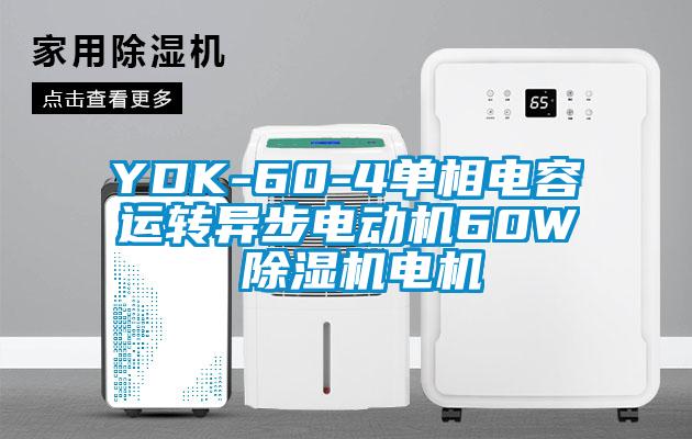 YDK-60-4單相電容運轉異步電動機60W 91看片网站视频機電機