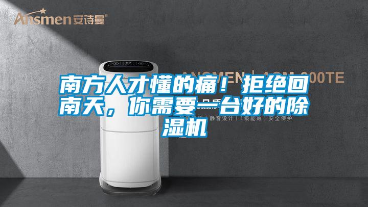 南方人才懂的痛！拒絕回南天，你需要一台好的91看片网站视频機