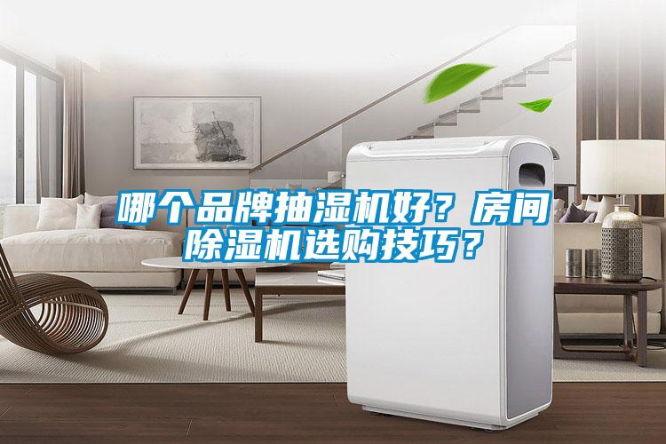 哪個品牌抽濕機好？房間91看片网站视频機選購技巧？