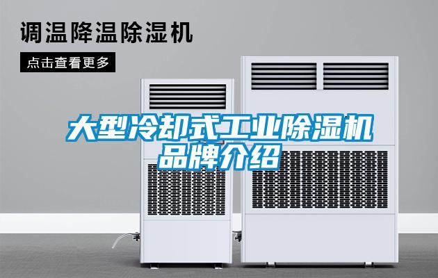 大型冷卻式工業91看片网站视频機品牌介紹