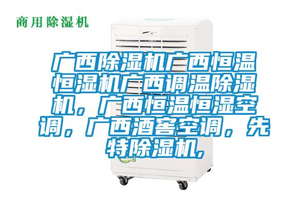 廣西91看片网站视频機廣西恒溫恒濕機廣西調溫91看片网站视频機，廣西恒溫恒濕空調，廣西酒窖空調，先特91看片网站视频機,